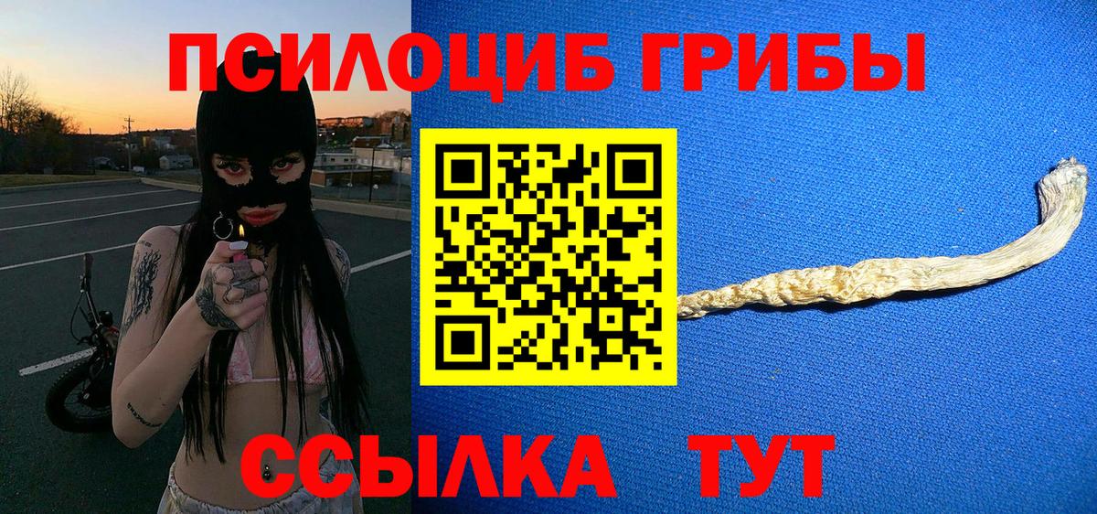 Балтийск  купить наркоту  Вход с VPN  Галлюциногенные грибы мицелий  Галлюциногенные грибы Cubensis 